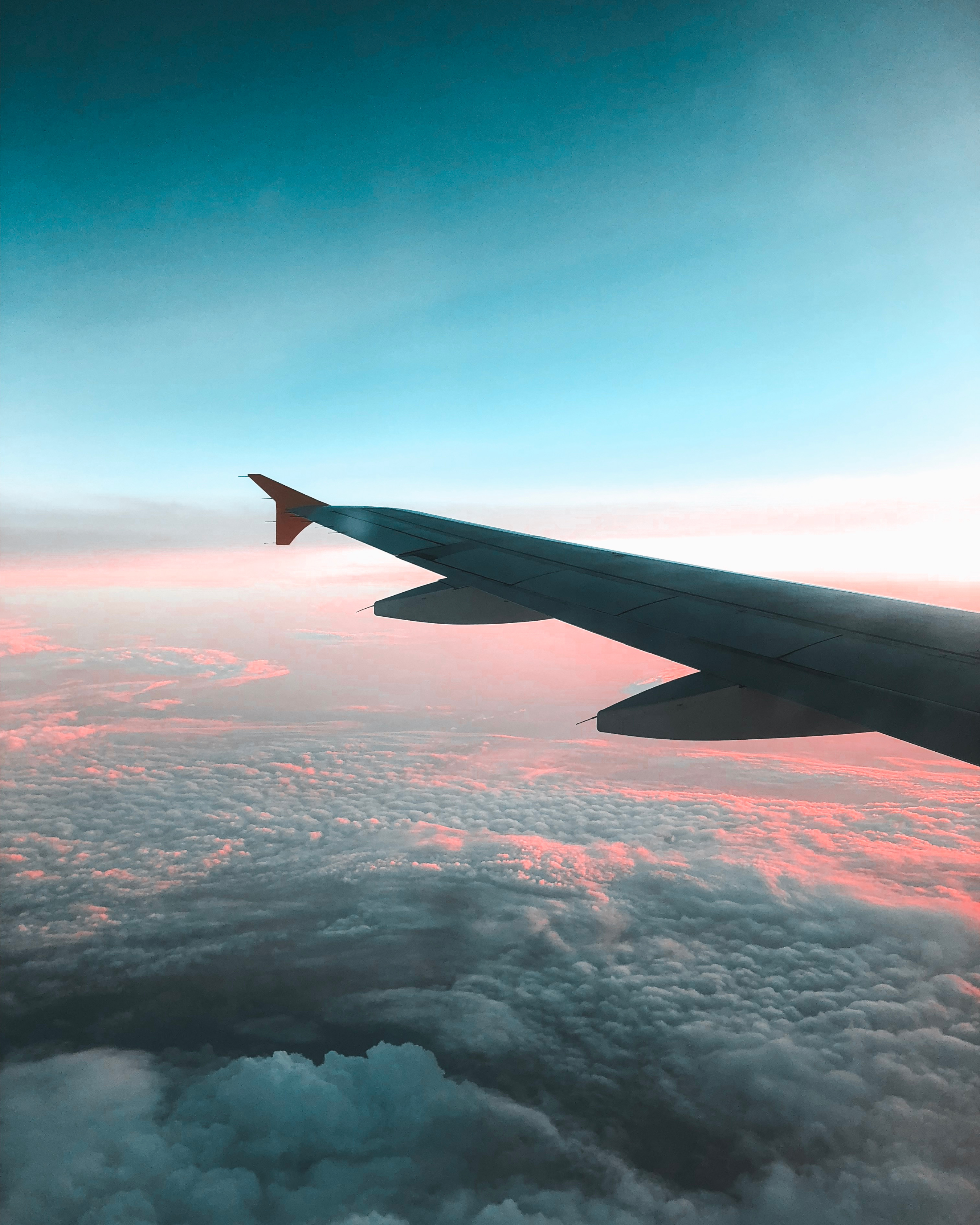 Behind the Scenes of Aviation Catering: How an Inflight Meal Takes Off
