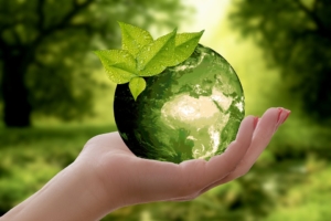 harry traiteur charte ecoresponsable traiteur